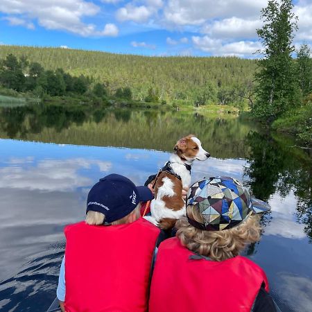 Mountain Cabin Lofsdalen Luaran gambar