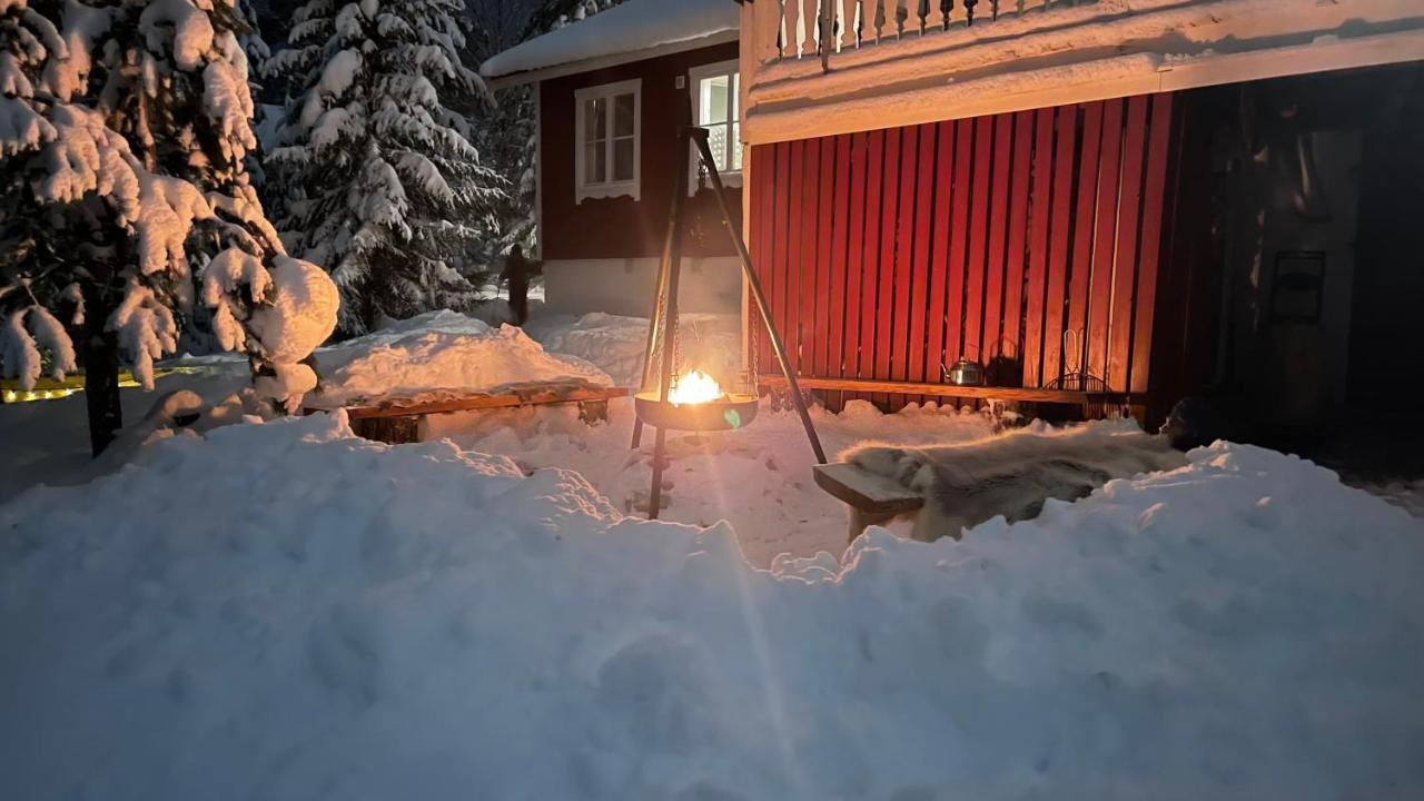 Mountain Cabin Lofsdalen Luaran gambar