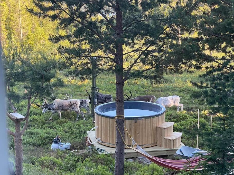 Mountain Cabin Lofsdalen Luaran gambar