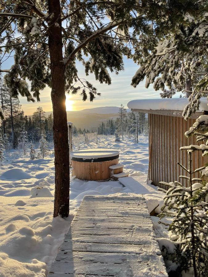 Mountain Cabin Lofsdalen Luaran gambar