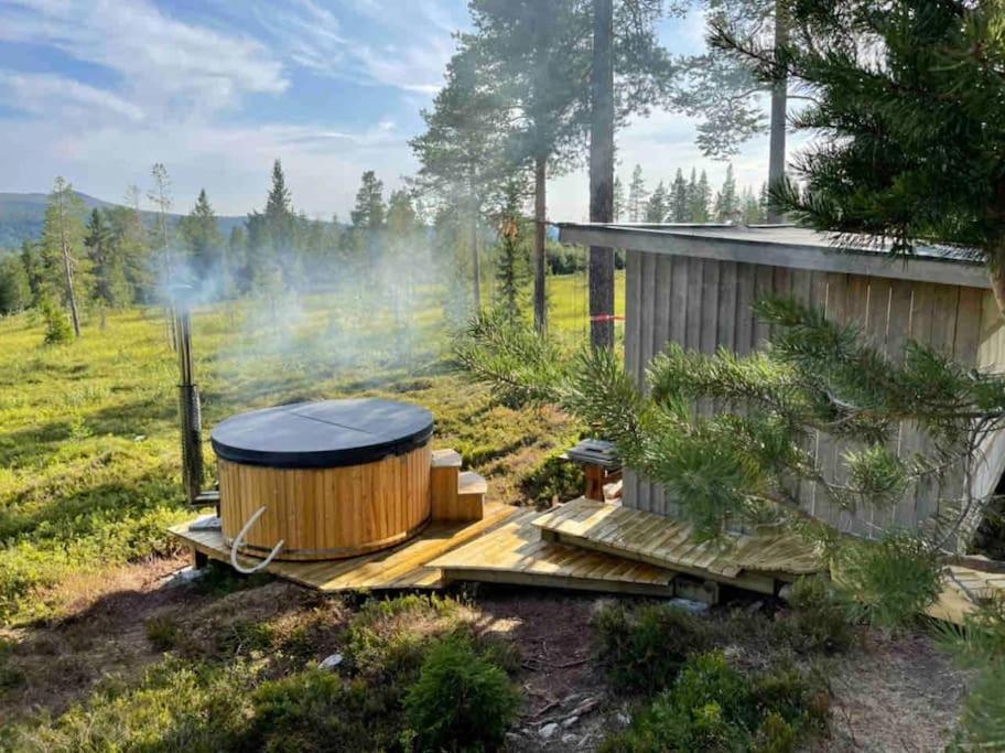 Mountain Cabin Lofsdalen Luaran gambar