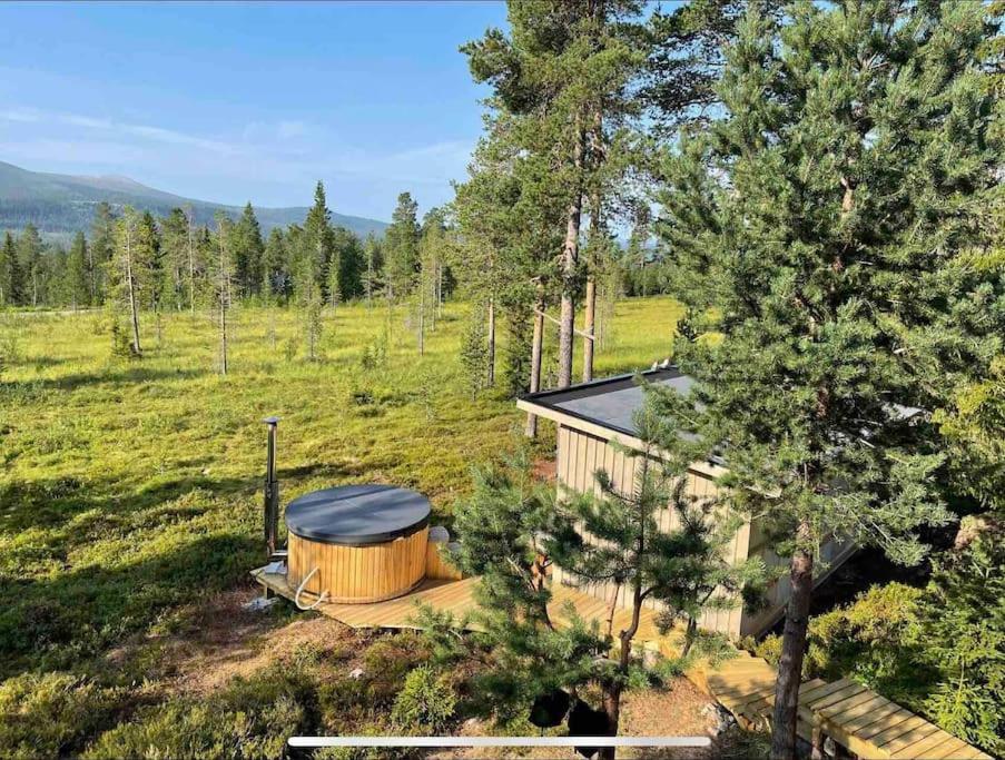 Mountain Cabin Lofsdalen Luaran gambar