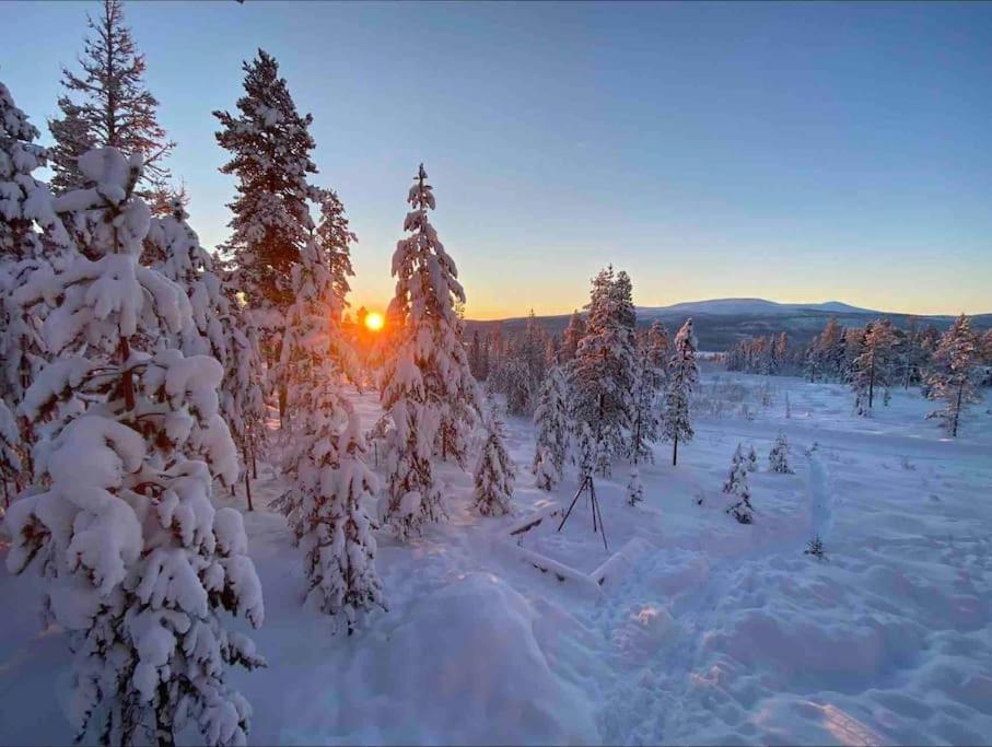 Mountain Cabin Lofsdalen Luaran gambar