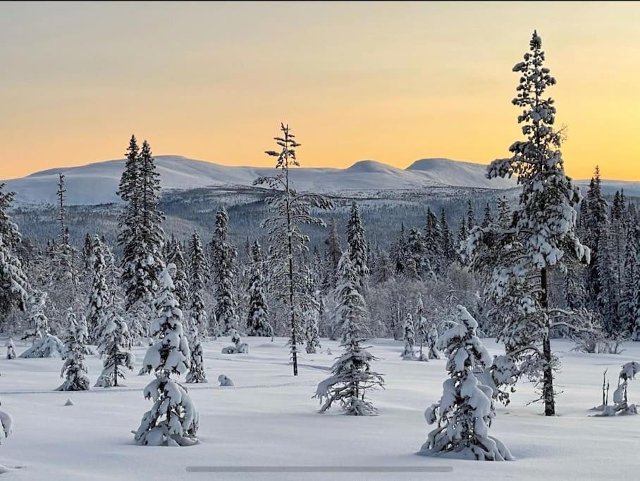 Mountain Cabin Lofsdalen Luaran gambar
