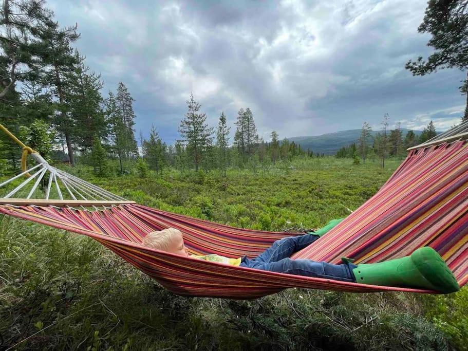 Mountain Cabin Lofsdalen Luaran gambar