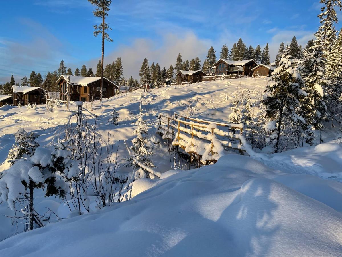 Mountain Cabin Lofsdalen Luaran gambar