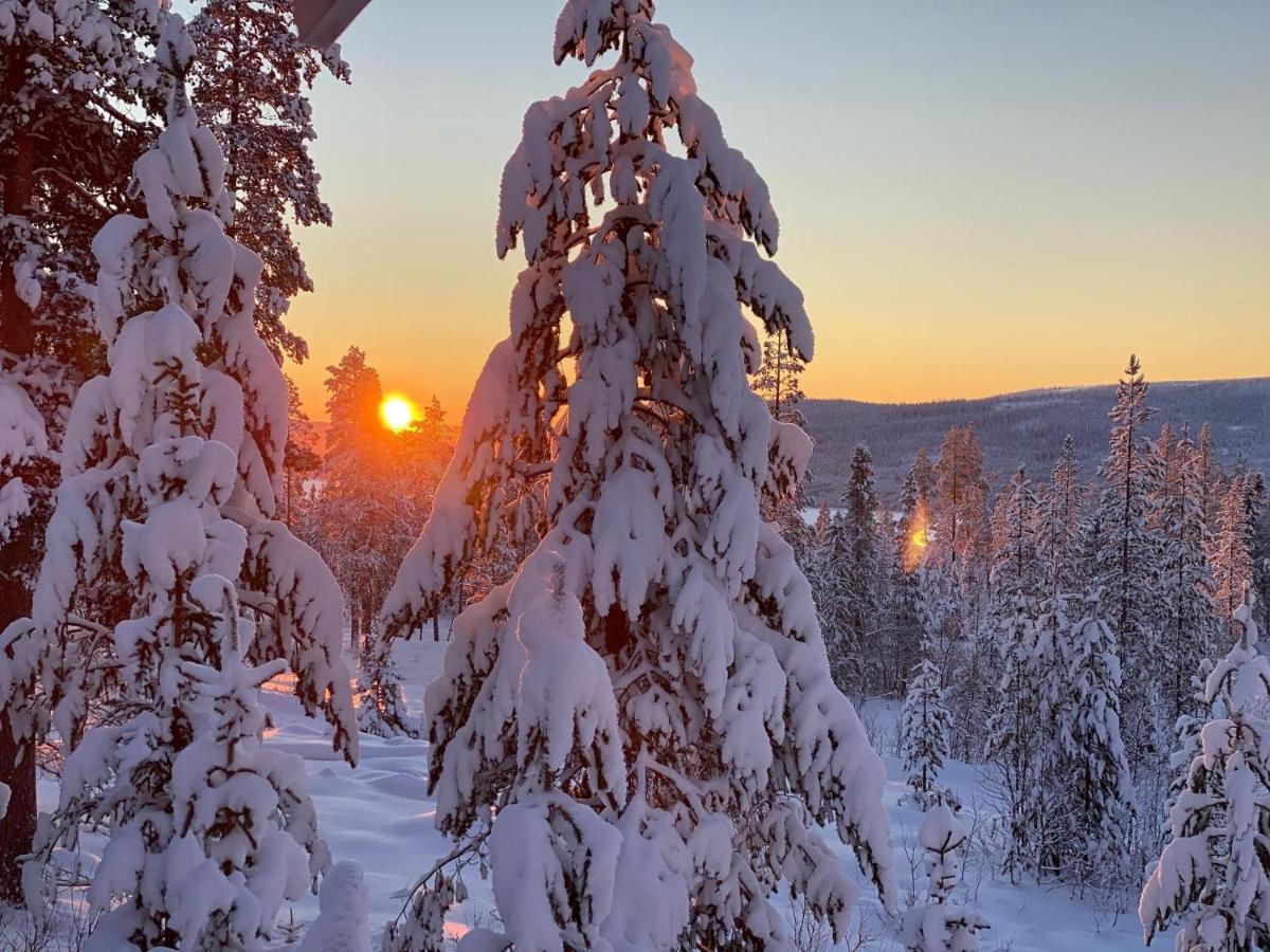 Mountain Cabin Lofsdalen Luaran gambar