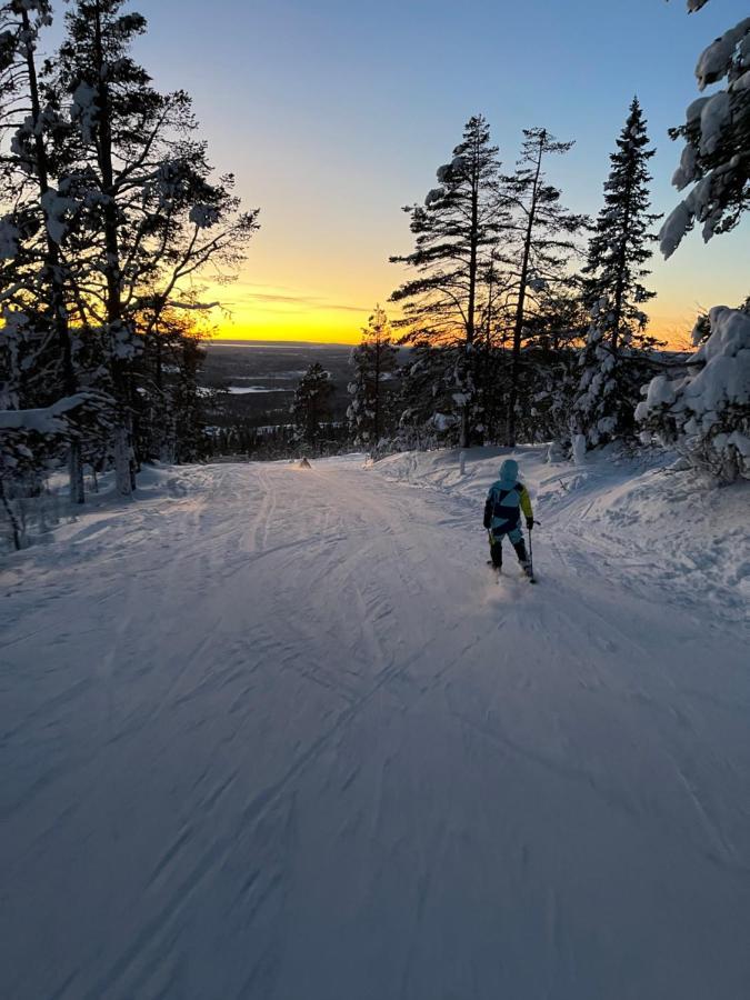 Mountain Cabin Lofsdalen Luaran gambar