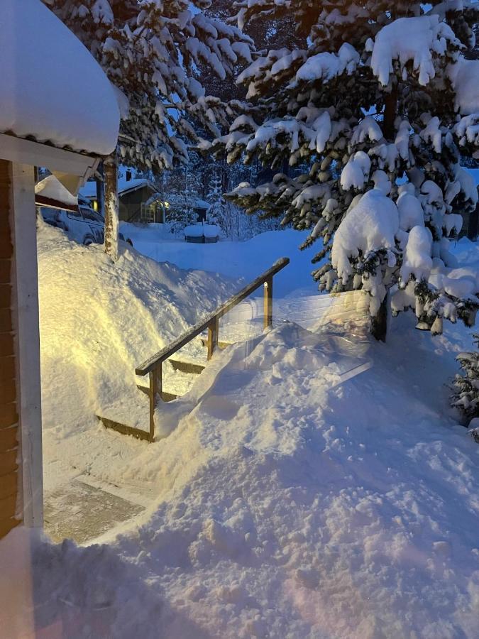 Mountain Cabin Lofsdalen Luaran gambar