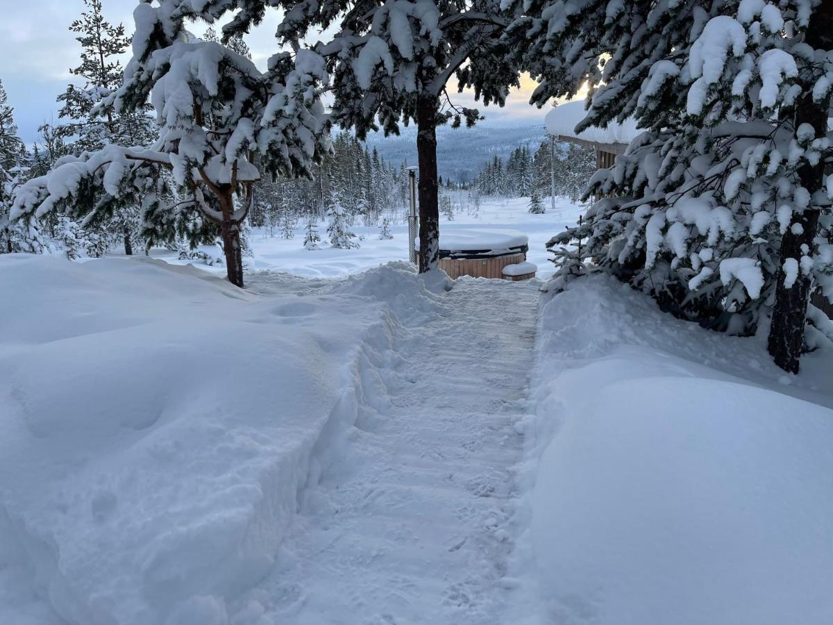 Mountain Cabin Lofsdalen Luaran gambar