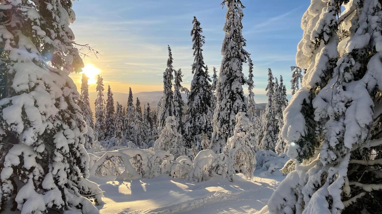 Mountain Cabin Lofsdalen Luaran gambar