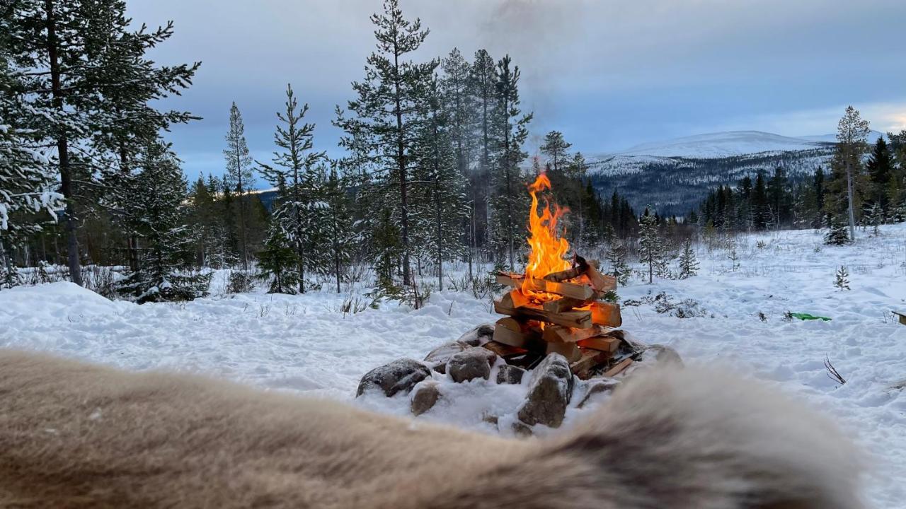 Mountain Cabin Lofsdalen Luaran gambar